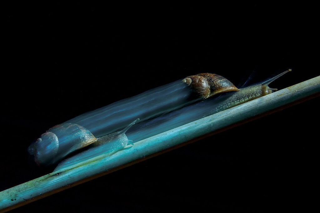 Teleport_slide